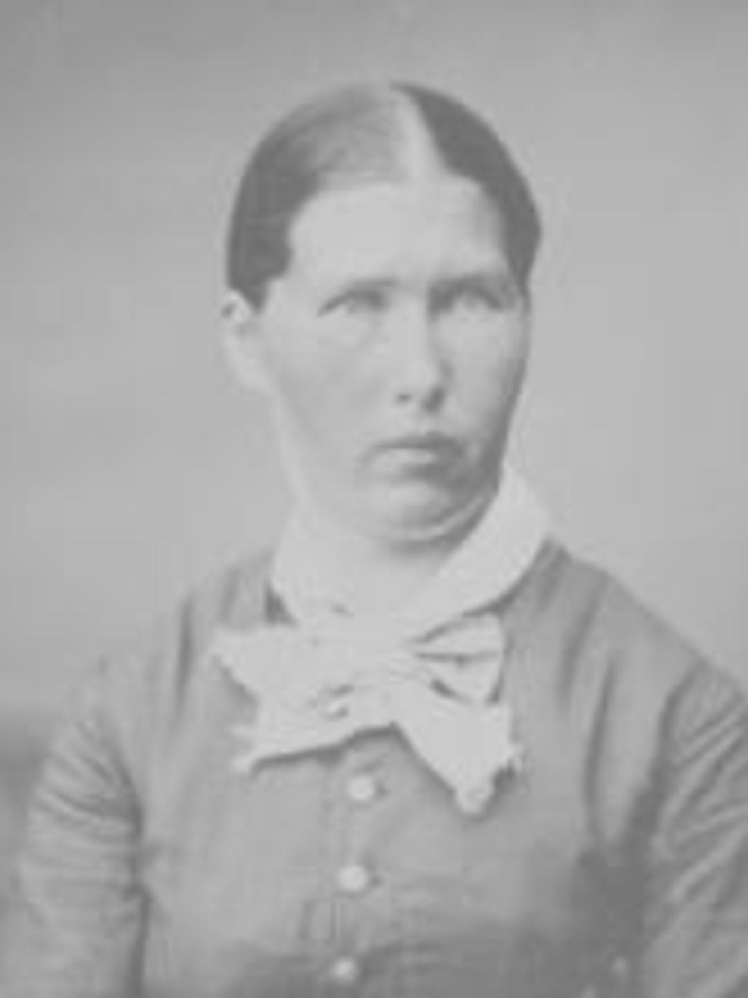 Josephine Bernhardina Beckman (1855 - 1928) Profile